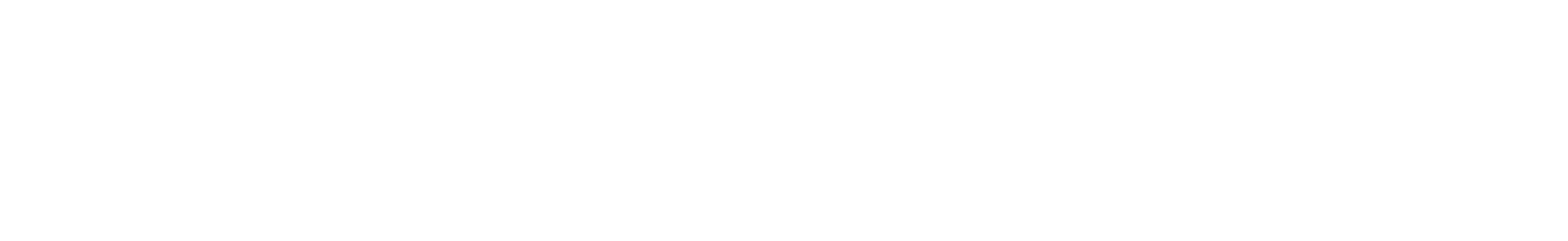 sn logo linear brandmark ko white