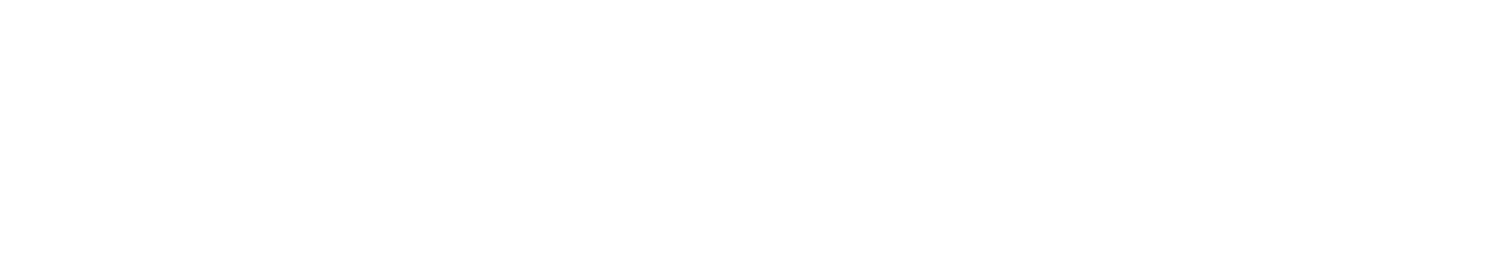 worshipinitiative logo white